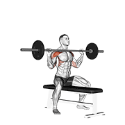 barbell seated overhead press egzersiz gösterimi