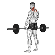 barbell shrug dimostrazione dell’esercizio