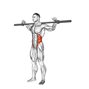 barbell side bent v. 2 exercise demonstration