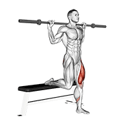 barbell single leg split squat exercise demonstration
