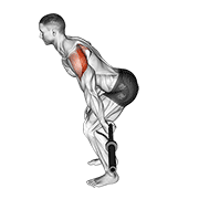 barbell skier exercise demonstration
