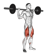 barbell speed squat egzersiz gösterimi
