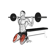 barbell squat (on knees) 动作演示