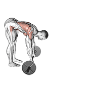 barbell standing ab rollerout exercise demonstration