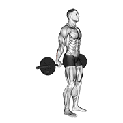 barbell standing back wrist curl 动作演示