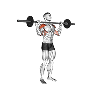 barbell standing bradford press 动作演示