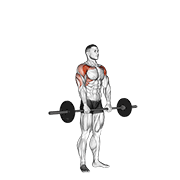 barbell standing front raise over head dimostrazione dell’esercizio