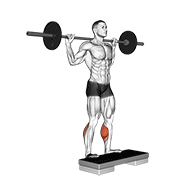 barbell standing leg calf raise dimostrazione dell’esercizio
