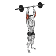 barbell standing overhead triceps extension exercise demonstration