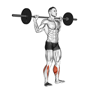 barbell standing rocking leg calf raise dimostrazione dell’esercizio