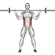 barbell standing twist exercise demonstration