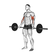 barbell standing wide-grip curl dimostrazione dell’esercizio