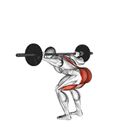 barbell stiff leg good morning 动作演示