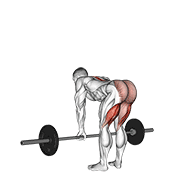 barbell straight leg deadlift exercise demonstration