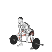 barbell sumo deadlift 动作演示