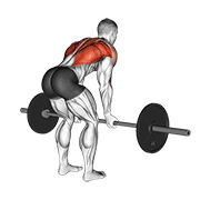 barbell reverse grip bent over row exercise demonstration