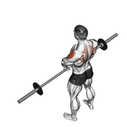 barbell upright row v. 2 exercise demonstration
