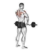 barbell upright row dimostrazione dell’esercizio