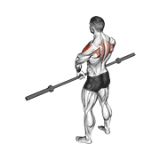 barbell upright row v. 3 exercise demonstration