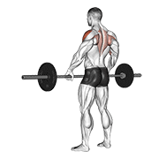 barbell wide-grip upright row dimostrazione dell’esercizio