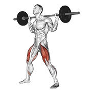 barbell wide squat dimostrazione dell’esercizio