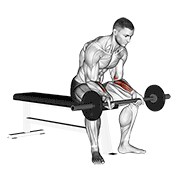 barbell wrist curl v. 2 动作演示