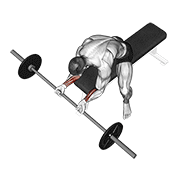barbell wrist curl exercise demonstration