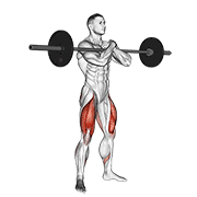 barbell zercher squat exercise demonstration