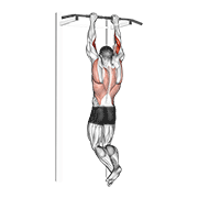 biceps pull-up egzersiz gösterimi