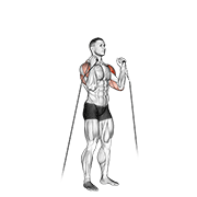 cable alternate shoulder press dimostrazione dell’esercizio