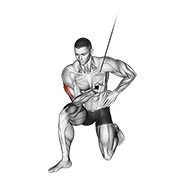 cable concentration extension (on knee) exercise demonstration