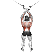 cable cross-over lateral pulldown dimostrazione dell’esercizio