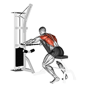 cable decline seated wide-grip row exercise demonstration