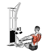 cable floor seated wide-grip row 动作演示