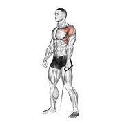 cable forward raise exercise demonstration