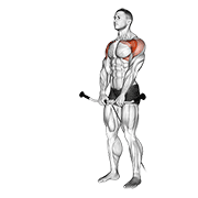 cable front raise exercise demonstration