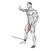 cable hip adduction exercise demonstration