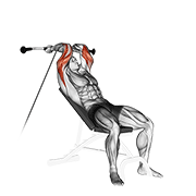 cable incline triceps extension exercise demonstration