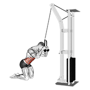 cable kneeling crunch exercise demonstration