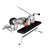 cable kneeling triceps extension exercise demonstration