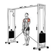 cable lateral raise 动作演示