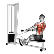 cable low seated row exercise demonstration