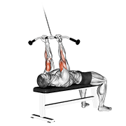 cable lying close-grip curl exercise demonstration