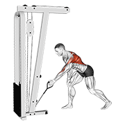 cable one arm bent over row exercise demonstration