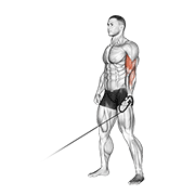 cable one arm curl exercise demonstration