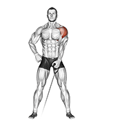 cable one arm lateral raise dimostrazione dell’esercizio