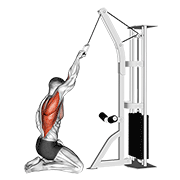 cable one arm straight back high row (kneeling) egzersiz gösterimi
