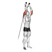 cable overhead triceps extension (rope attachment) exercise demonstration