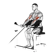 cable preacher curl exercise demonstration