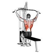 cable pulldown (pro lat bar) 动作演示